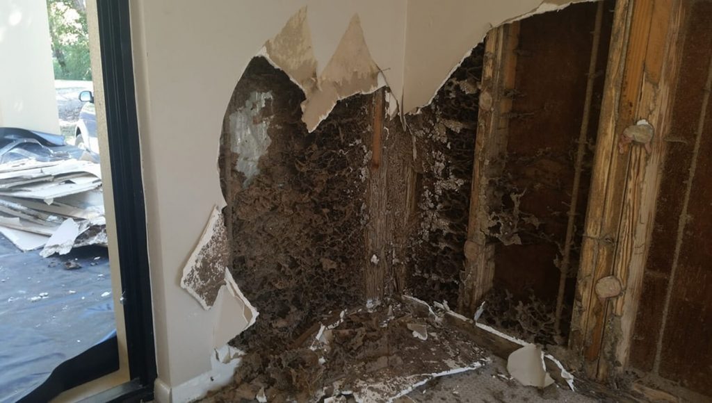 Marriott constructions-Termite repairs-slide1