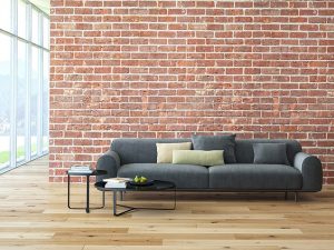 Home Renovation Ideas for Brick Homes on the Sunshine Coast